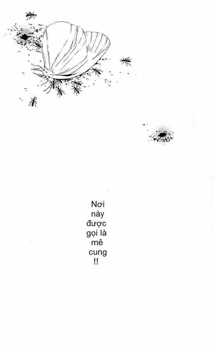 Mayonaka No Ariadone Chapter 1 - 3