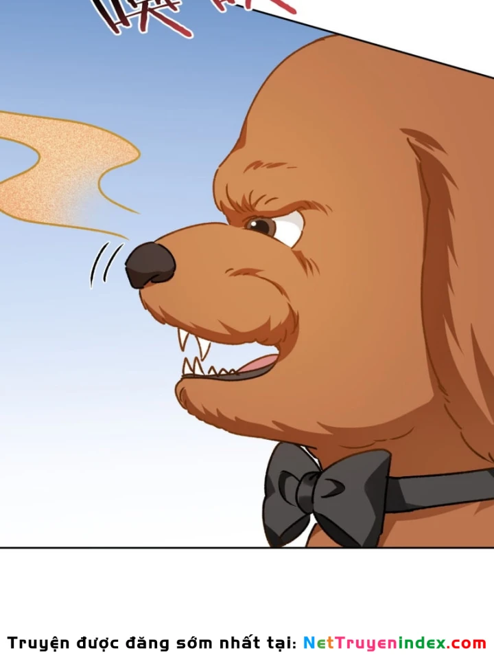 Bỏ Làm Simp Chúa, Ta Có Trong Tay Cả Tỉ Thần Hào! Chapter 252 - 51
