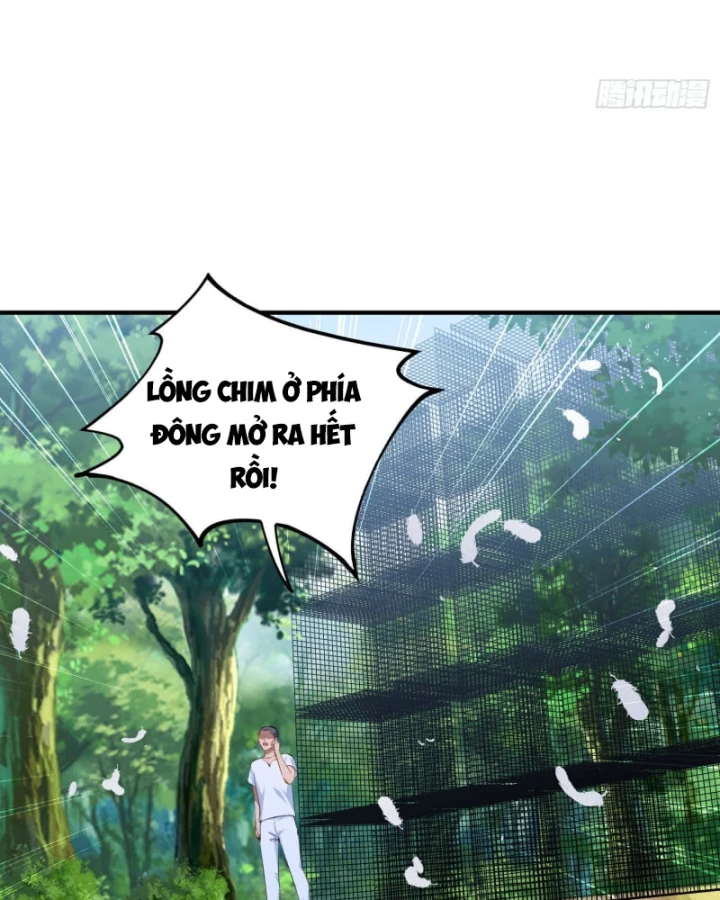Bỏ Làm Simp Chúa, Ta Có Trong Tay Cả Tỉ Thần Hào! Chapter 260 - 40