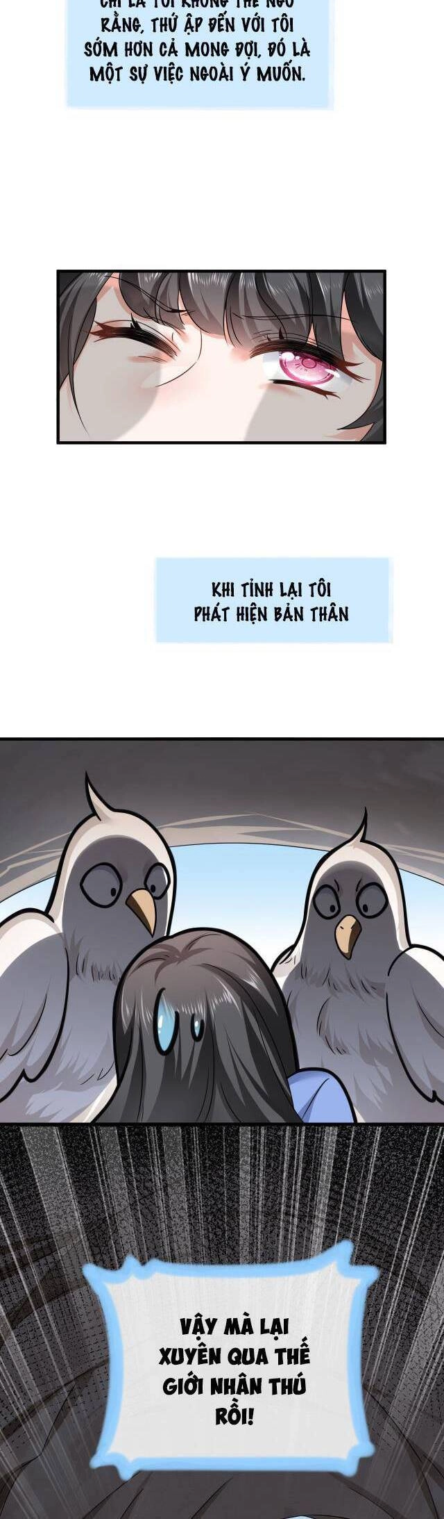 Kế Hoạch Thuần Phục Thú Phu Kiêu Ngạo Chapter 1 - 26