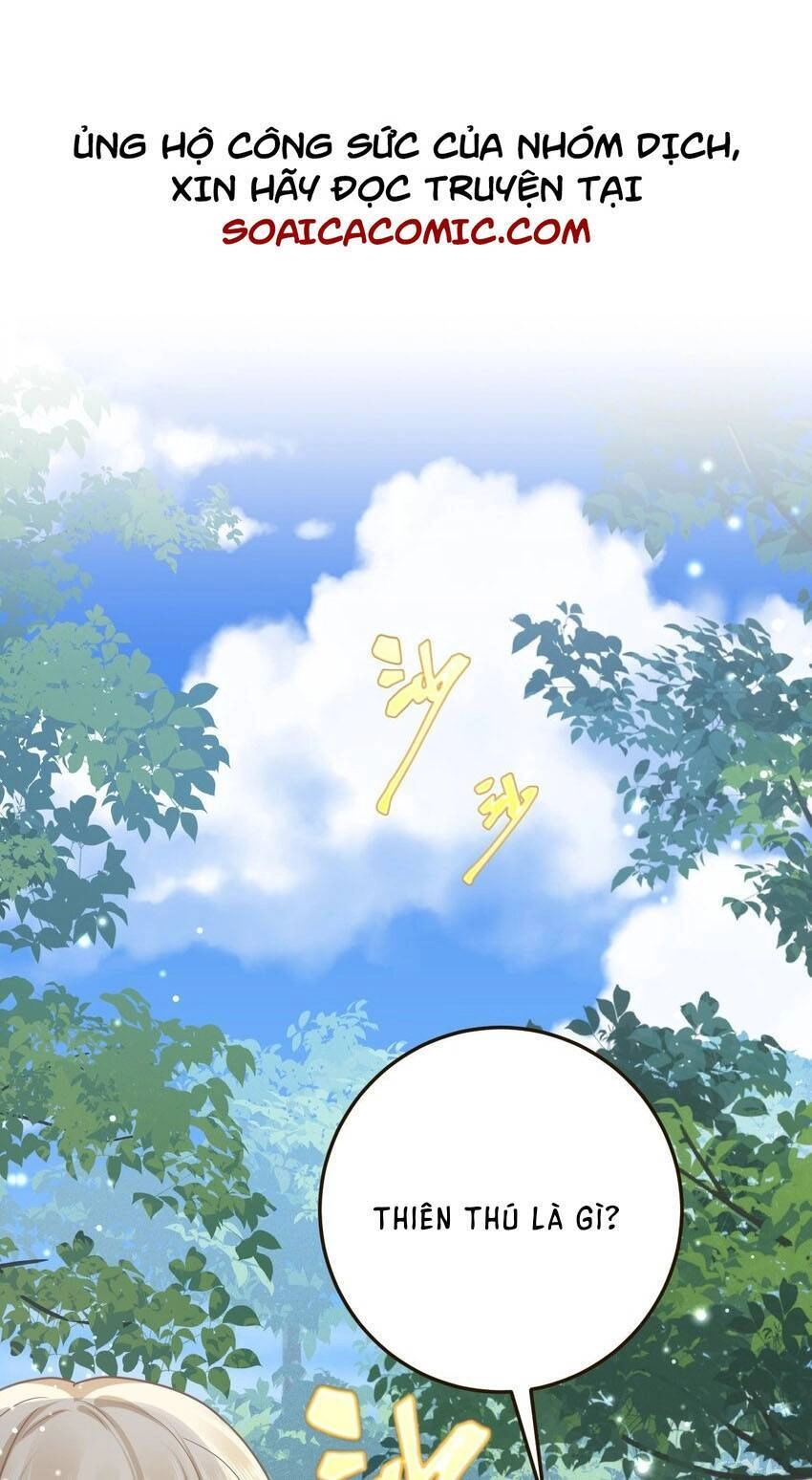 Kế Hoạch Thuần Phục Thú Phu Kiêu Ngạo Chapter 20 - 1