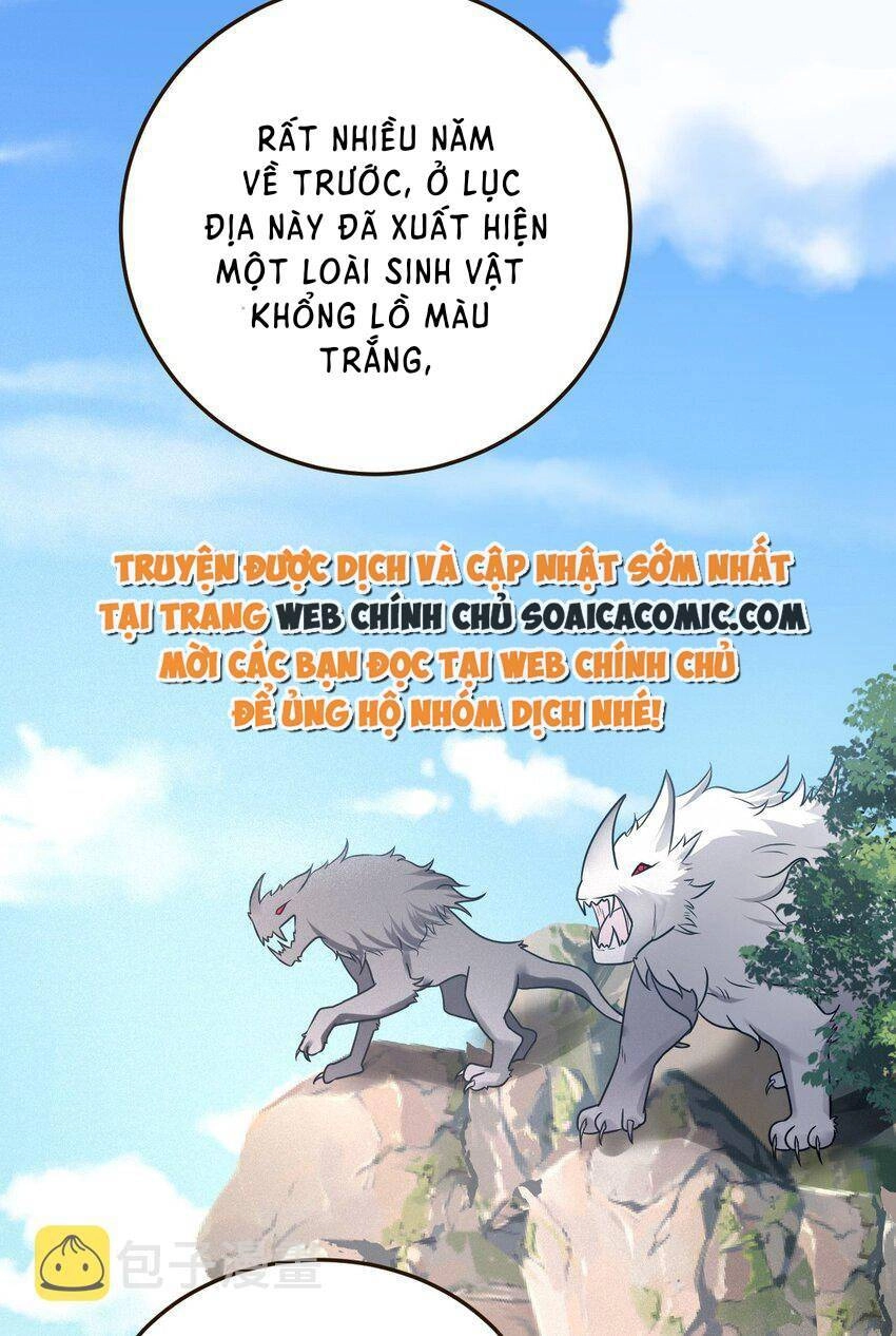 Kế Hoạch Thuần Phục Thú Phu Kiêu Ngạo Chapter 20 - 5