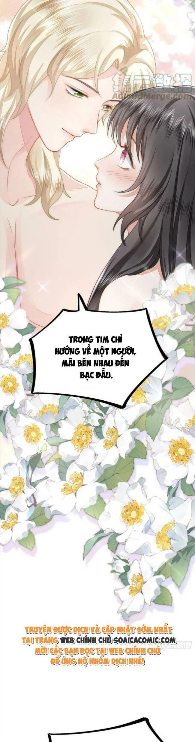 Kế Hoạch Thuần Phục Thú Phu Kiêu Ngạo Chapter 38 - 13