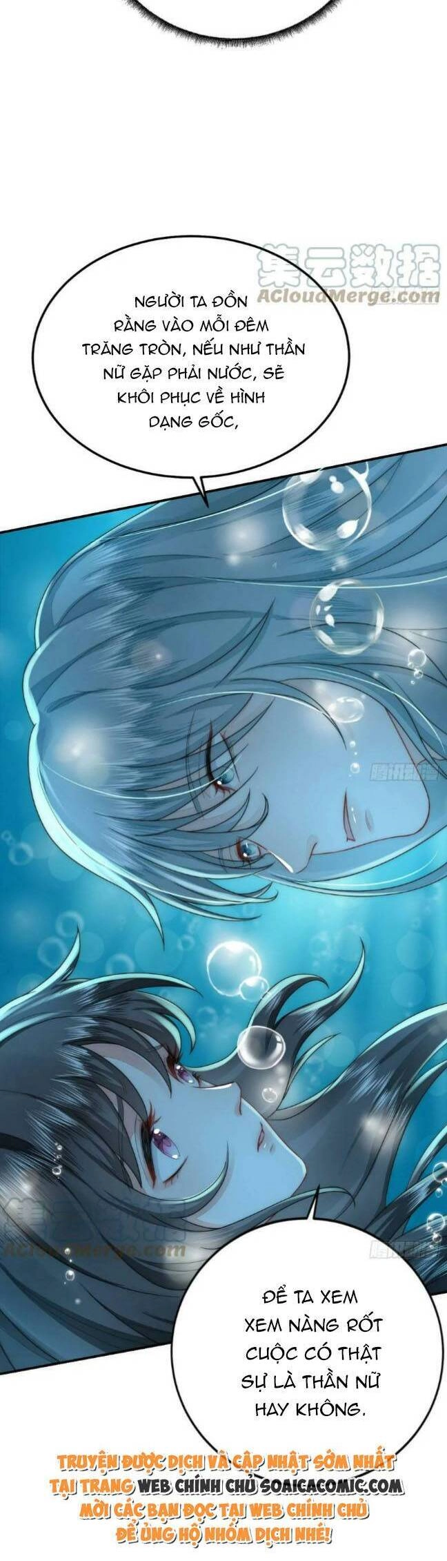 Kế Hoạch Thuần Phục Thú Phu Kiêu Ngạo Chapter 40 - 21