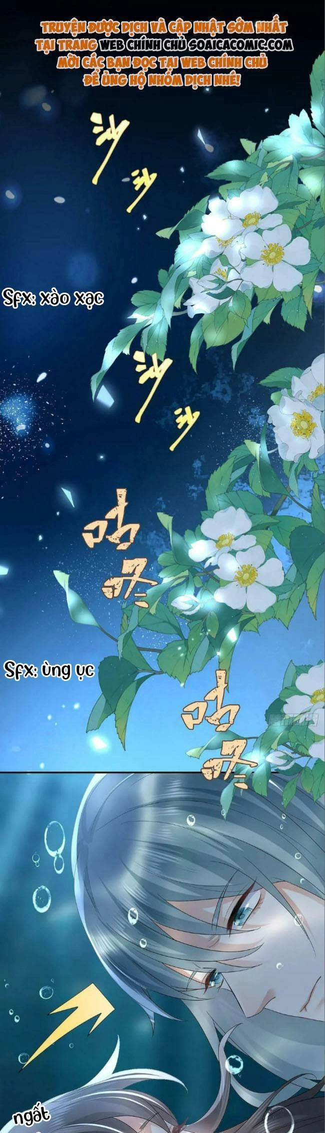 Kế Hoạch Thuần Phục Thú Phu Kiêu Ngạo Chapter 41 - 1