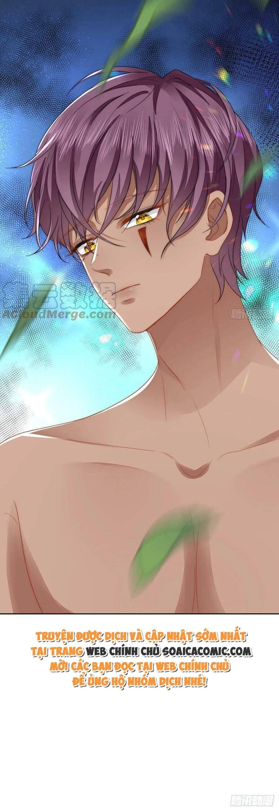 Kế Hoạch Thuần Phục Thú Phu Kiêu Ngạo Chapter 49 - 6