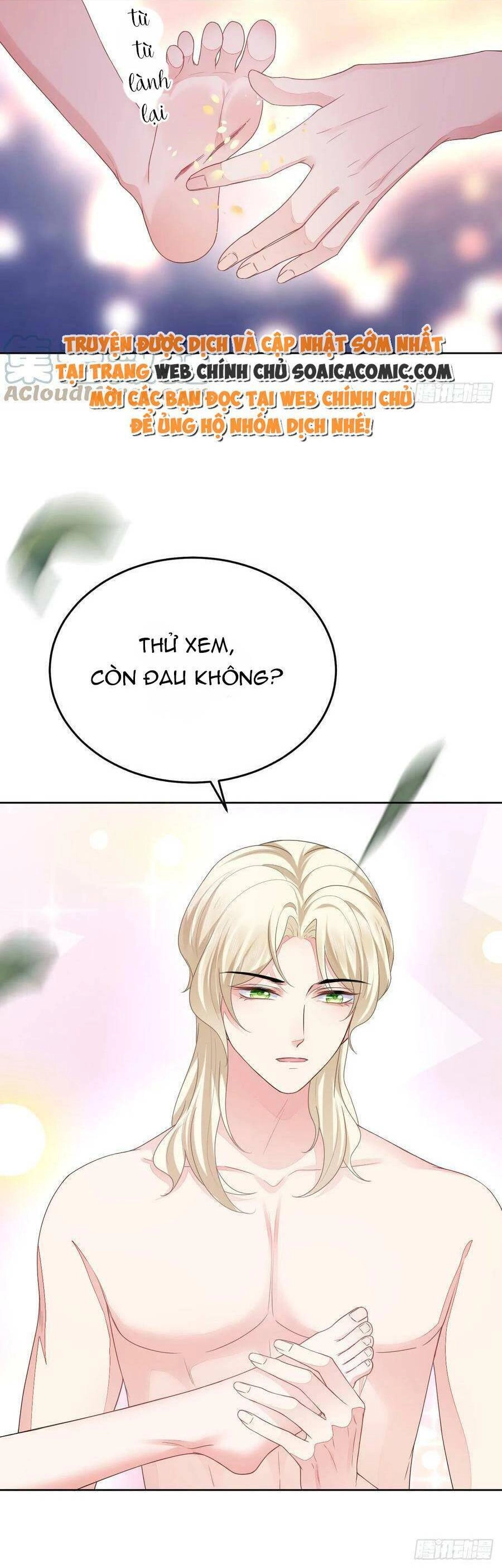 Kế Hoạch Thuần Phục Thú Phu Kiêu Ngạo Chapter 53 - 7