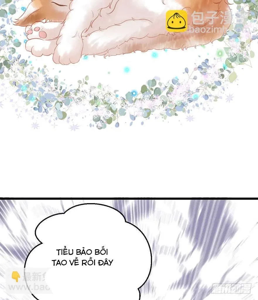 Tôi Không Phải Nữ Phụ Ác Độc Chapter 196 - 32