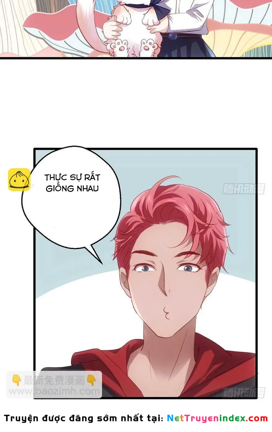 Tôi Không Phải Nữ Phụ Ác Độc Chapter 196 - 42