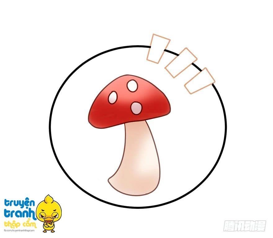 Tôi Không Phải Nữ Phụ Ác Độc Chapter 25 - 5