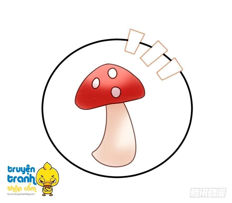 Tôi Không Phải Nữ Phụ Ác Độc Chapter 25 - 50