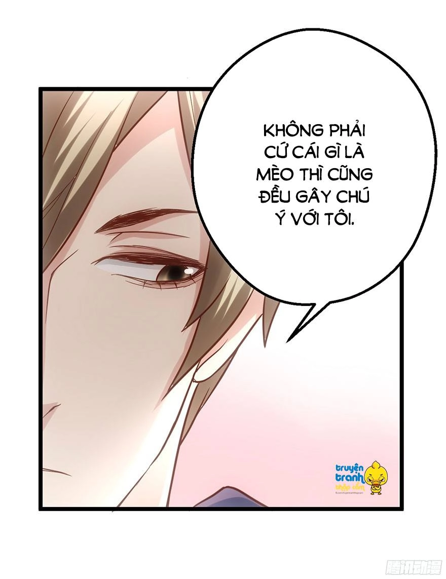 Tôi Không Phải Nữ Phụ Ác Độc Chapter 31 - 37