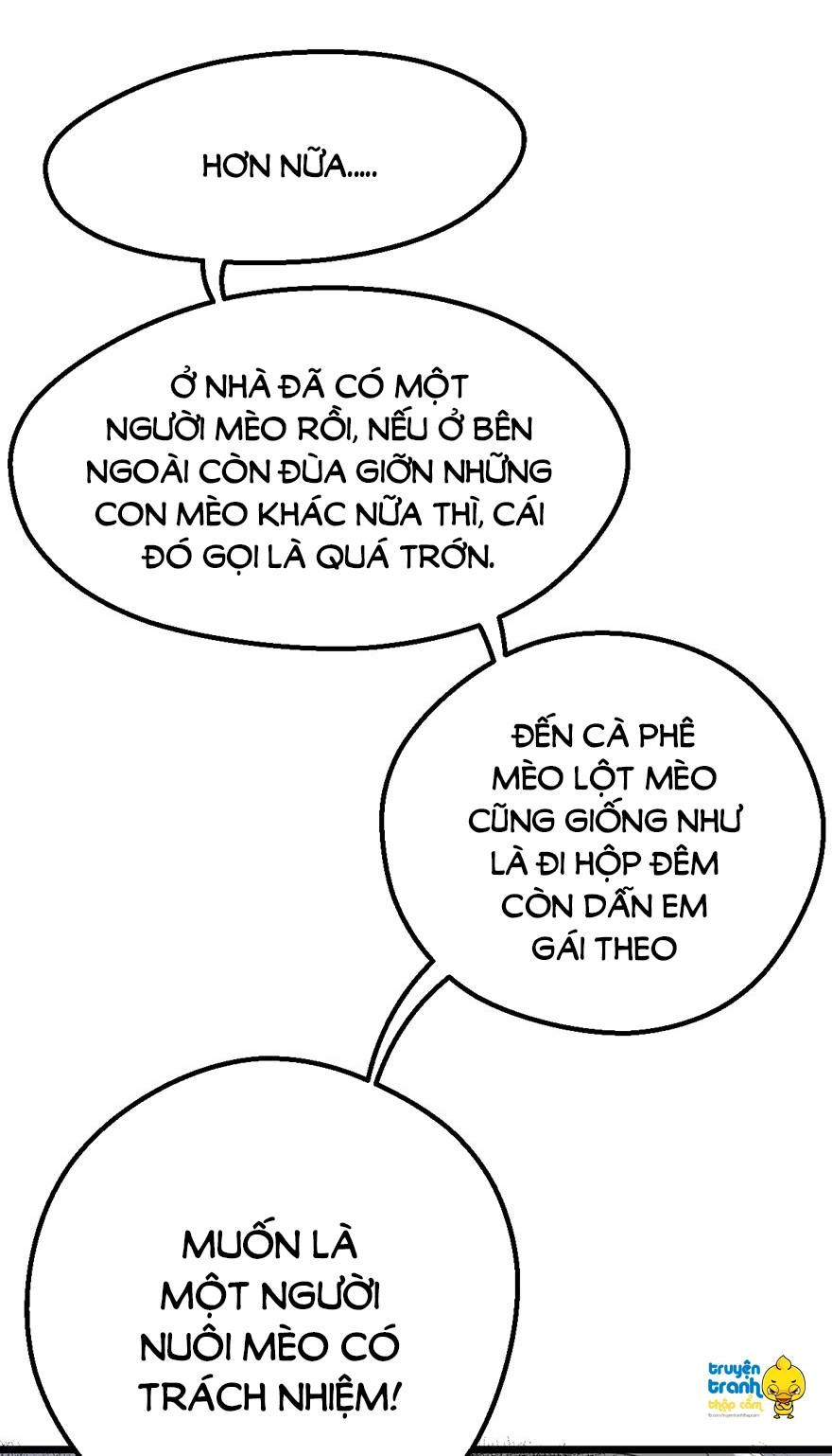 Tôi Không Phải Nữ Phụ Ác Độc Chapter 31 - 38