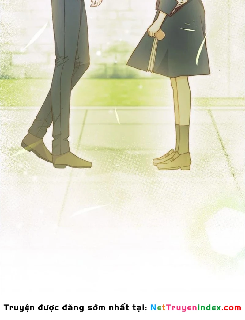 Tôi Không Muốn Làm Người Mai Mối Chapter  99 - 19