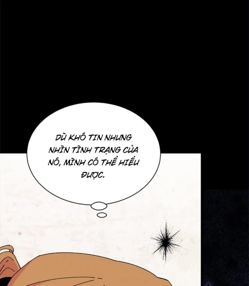 Tôi Không Muốn Làm Người Mai Mối Chapter  103 - 108