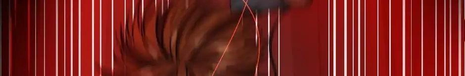 Ánh Sáng Cuối Con Đường Chapter 12 - 47