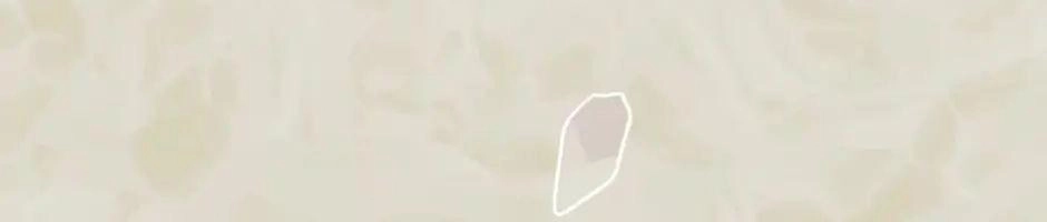 Ánh Sáng Cuối Con Đường Chapter 15 - 135