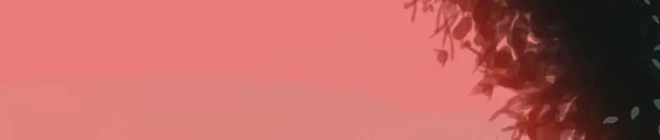 Ánh Sáng Cuối Con Đường Chapter 16 - 11