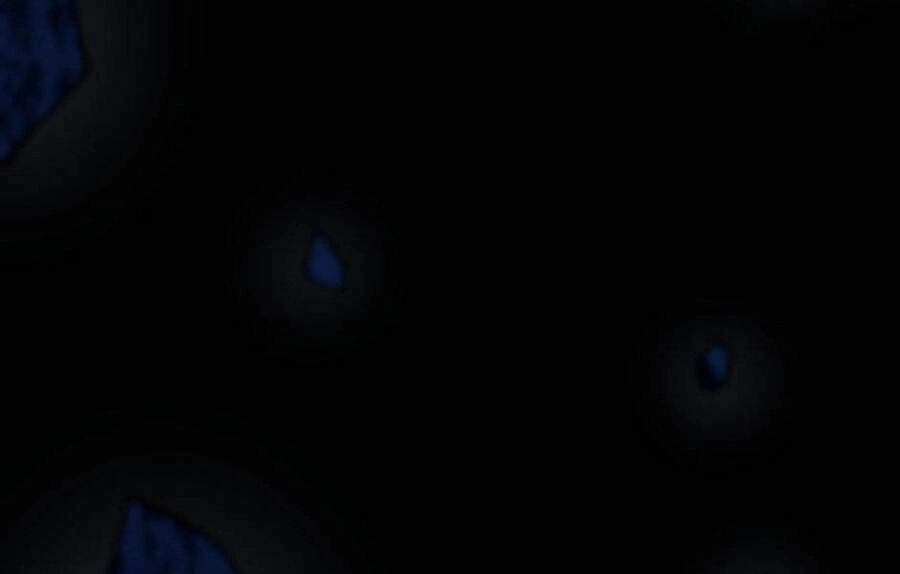 Ánh Sáng Cuối Con Đường Chapter 118 - 240