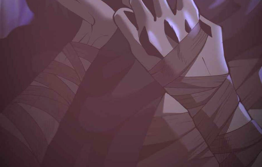 Ánh Sáng Cuối Con Đường Chapter 119.5 - 40