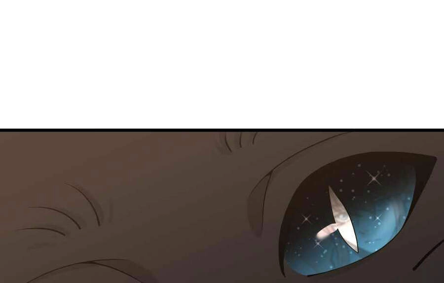 Ánh Sáng Cuối Con Đường Chapter 121 - 176