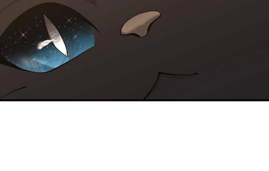 Ánh Sáng Cuối Con Đường Chapter 121 - 177