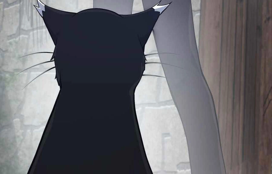 Ánh Sáng Cuối Con Đường Chapter 121 - 252