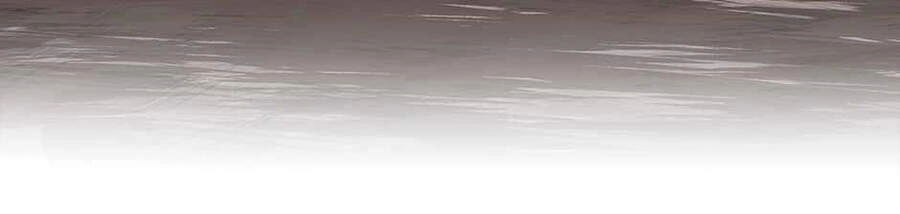 Ánh Sáng Cuối Con Đường Chapter 121 - 289