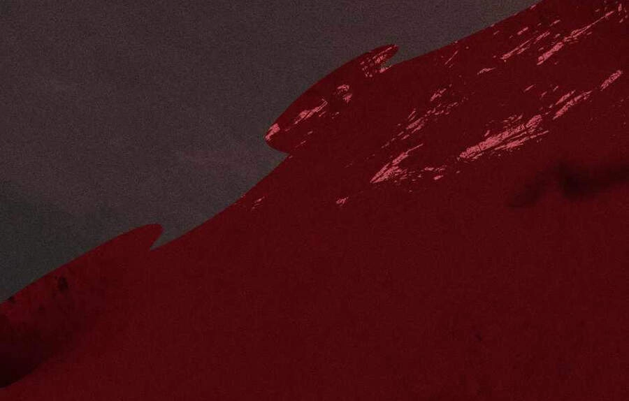 Ánh Sáng Cuối Con Đường Chapter 124 - 22