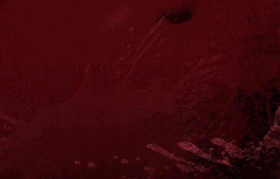 Ánh Sáng Cuối Con Đường Chapter 124 - 23