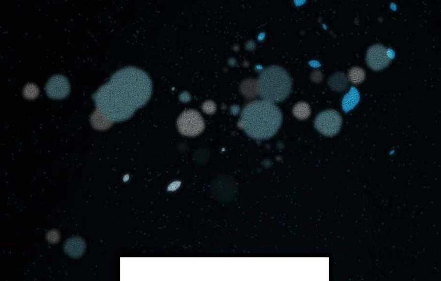 Ánh Sáng Cuối Con Đường Chapter 124 - 27