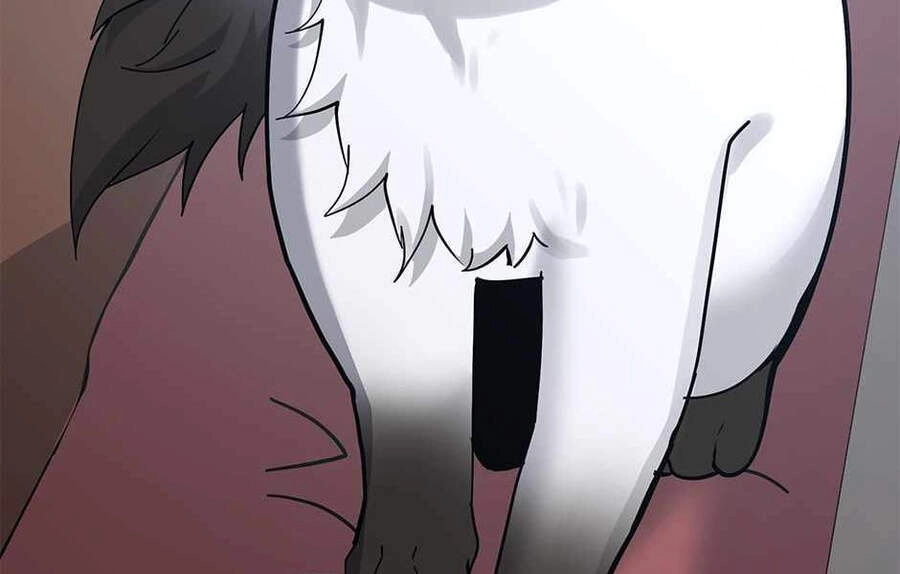 Ánh Sáng Cuối Con Đường Chapter 125 - 28