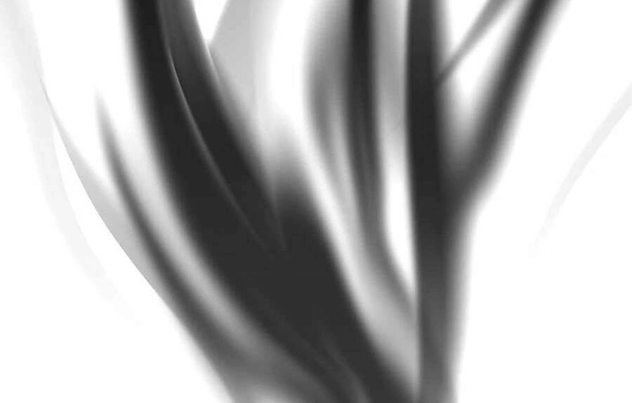 Ánh Sáng Cuối Con Đường Chapter 125 - 169