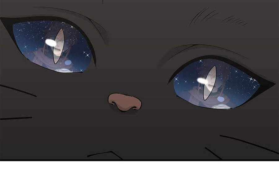 Ánh Sáng Cuối Con Đường Chapter 125 - 188