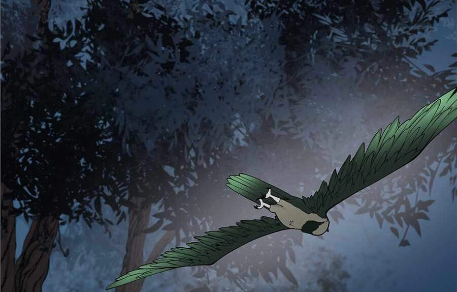 Ánh Sáng Cuối Con Đường Chapter 125 - 215