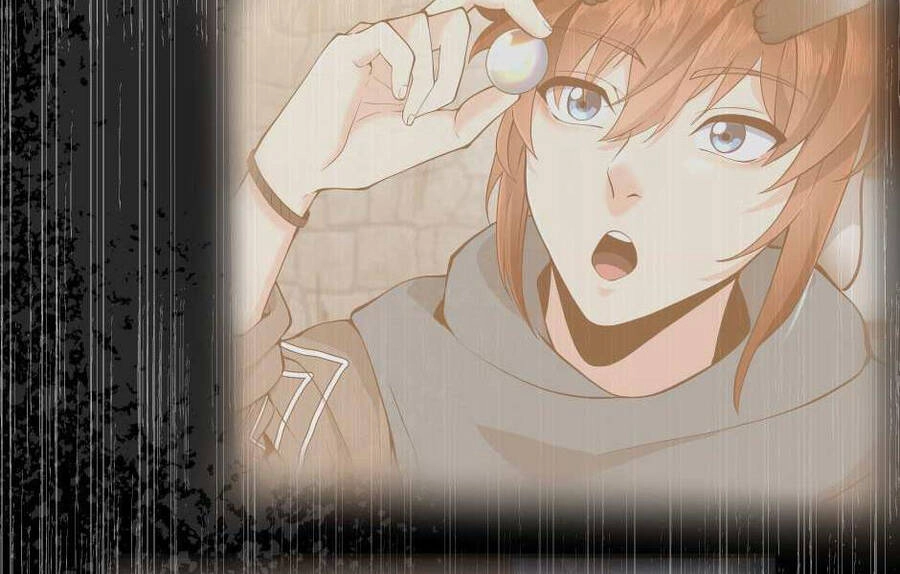 Ánh Sáng Cuối Con Đường Chapter 126 - 11