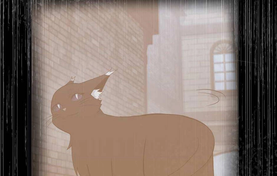 Ánh Sáng Cuối Con Đường Chapter 126 - 12