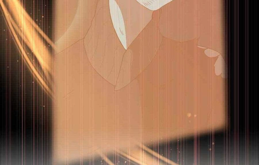 Ánh Sáng Cuối Con Đường Chapter 127 - 213