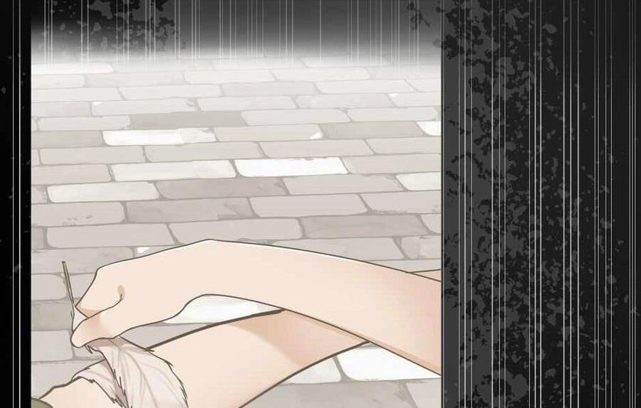 Ánh Sáng Cuối Con Đường Chapter 128 - 88