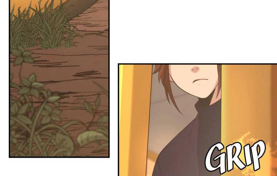 Ánh Sáng Cuối Con Đường Chapter 129 - 172