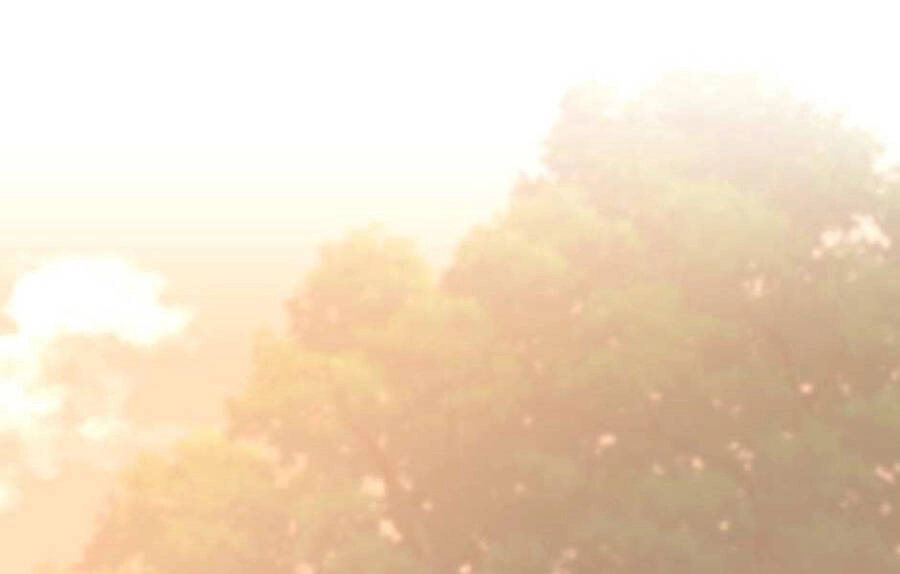 Ánh Sáng Cuối Con Đường Chapter 129 - 182