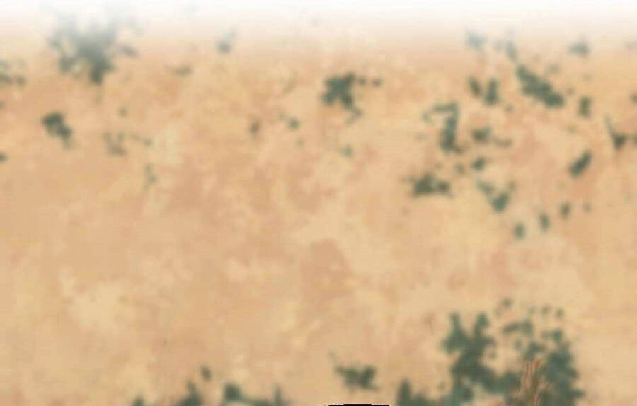 Ánh Sáng Cuối Con Đường Chapter 129 - 236