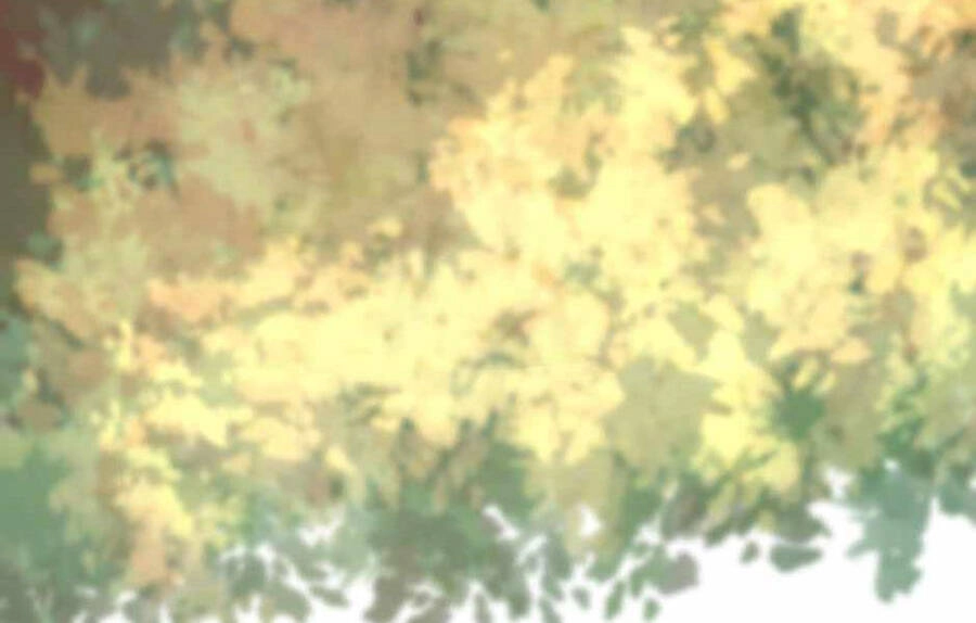 Ánh Sáng Cuối Con Đường Chapter 130 - 163