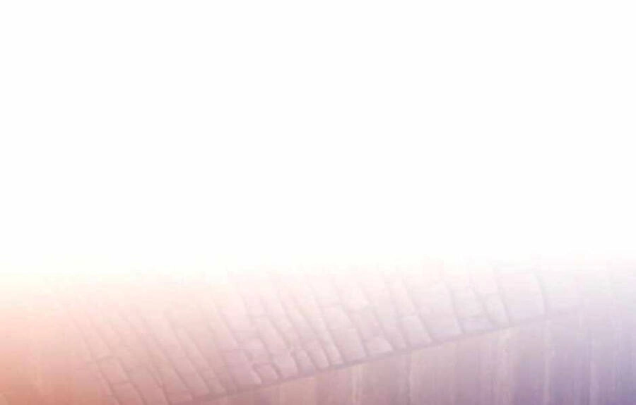 Ánh Sáng Cuối Con Đường Chapter 132 - 32