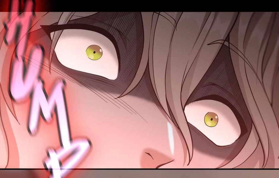 Ánh Sáng Cuối Con Đường Chapter 132 - 159