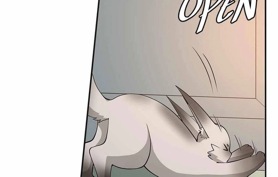 Ánh Sáng Cuối Con Đường Chapter 133 - 131