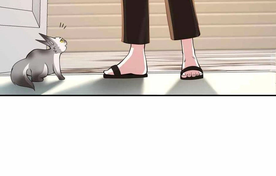 Ánh Sáng Cuối Con Đường Chapter 133 - 139