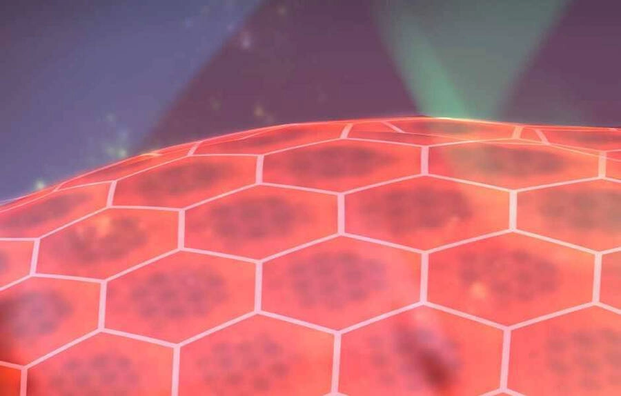 Ánh Sáng Cuối Con Đường Chapter 136 - 2