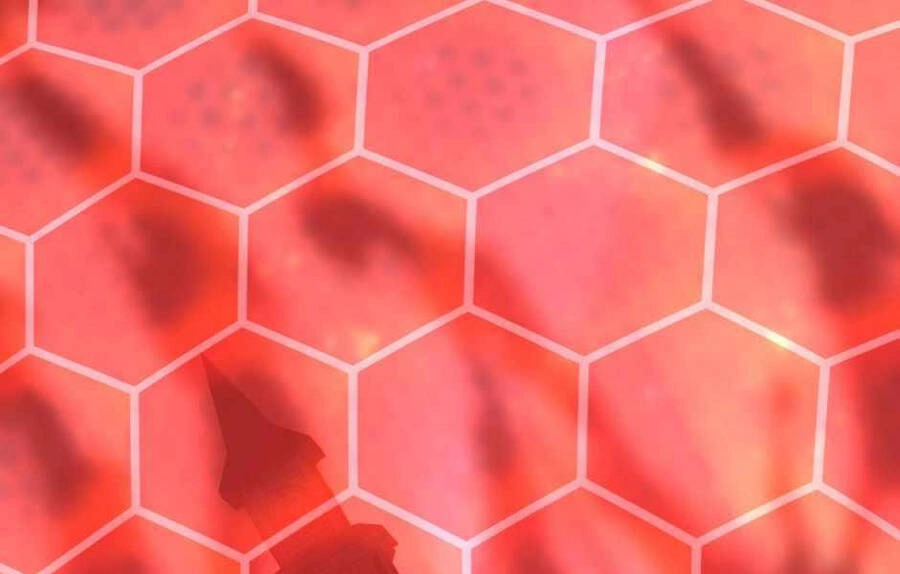 Ánh Sáng Cuối Con Đường Chapter 136 - 3