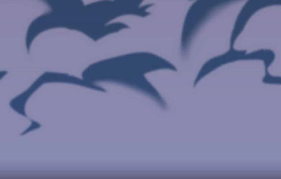 Ánh Sáng Cuối Con Đường Chapter 140 - 25